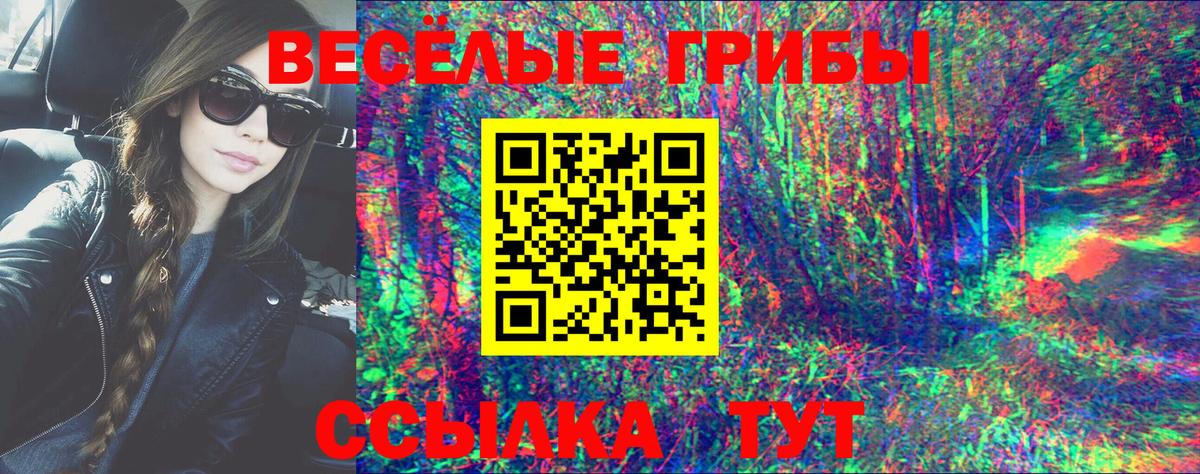 Псилоцибиновые грибы ЛСД Димитровград