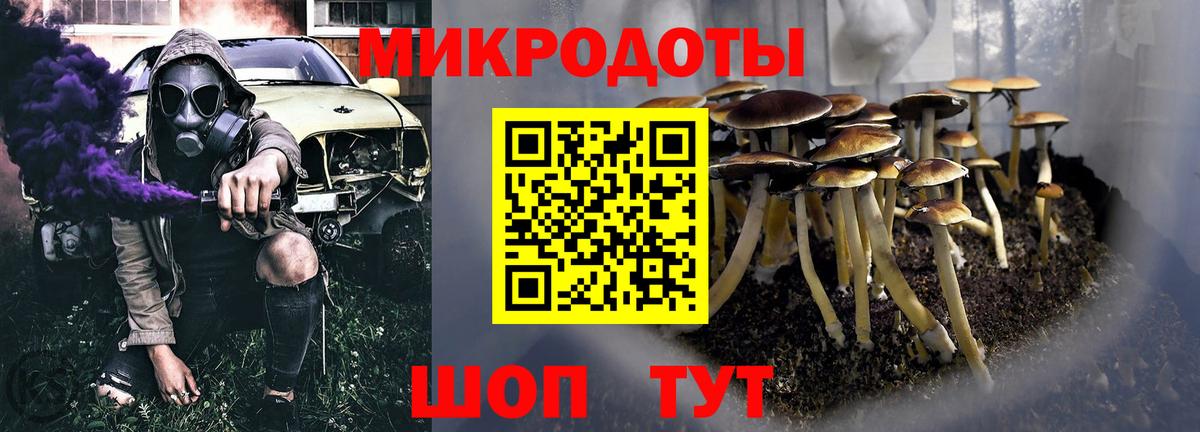 Галлюциногенные грибы GOLDEN TEACHER  Галлюциногенные грибы Psilocybine cubensis  Димитровград  Вход с VPN 